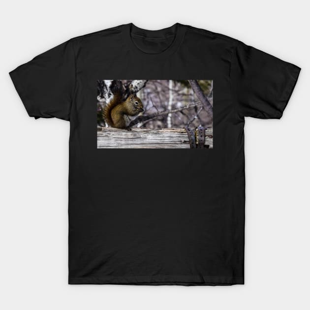 Red Squirrel on a Fence. T-Shirt by CanadianWild418